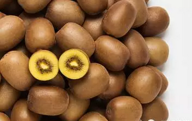 Chinese Kiwifruit Season Starts with Strong Volume